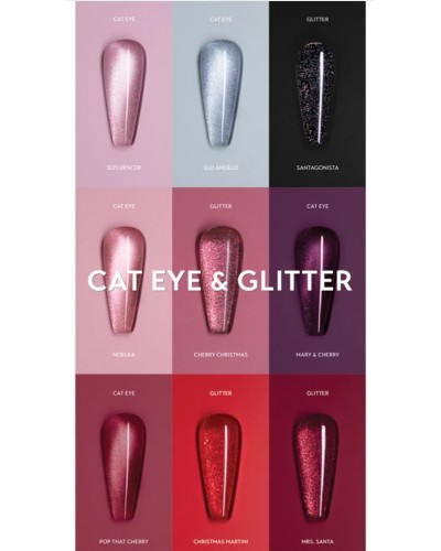 Winter Collection 2025 Pack Small